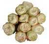 Роза Кхела (Khela)